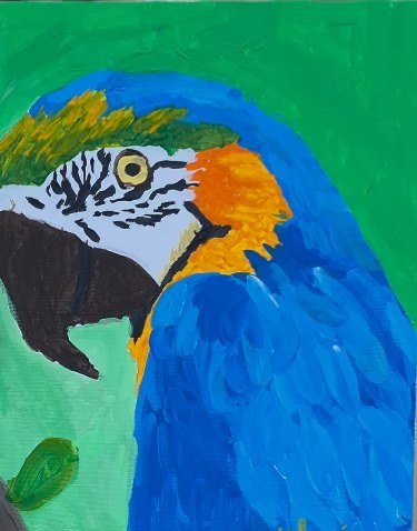 Pintura de uma arara azul e amarela de perfil, sobre fundo verde